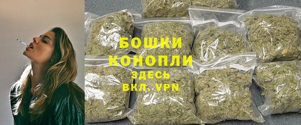 ешки Аркадак