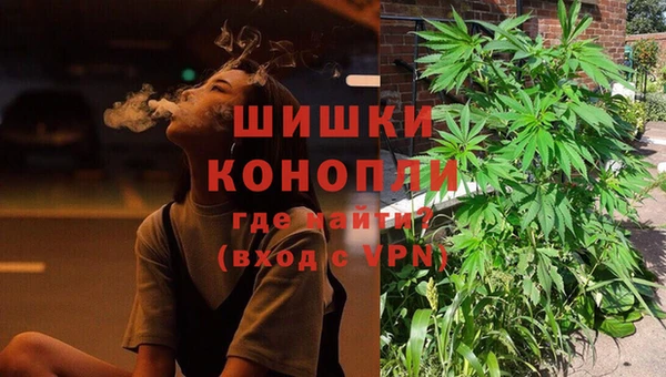 ешки Аркадак