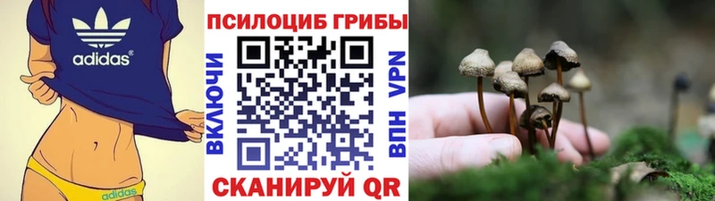 Псилоцибиновые грибы прущие грибы  наркотики  Зверево 